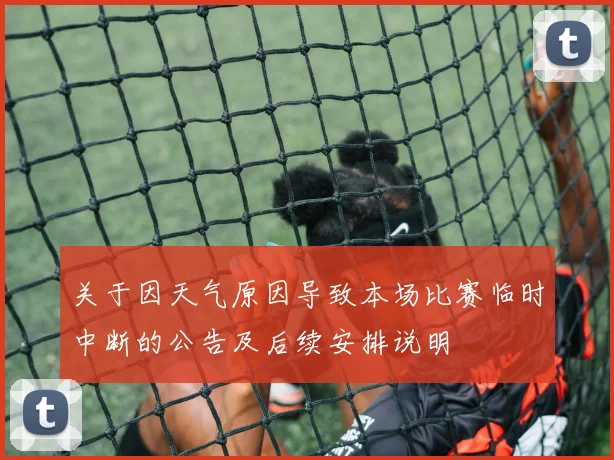 关于因天气原因导致本场比赛临时中断的公告及后续安排说明